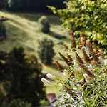 Lejlighed Neu, Morgentau, Mit Aussicht In Wieda & Grosszuegigen Garten *