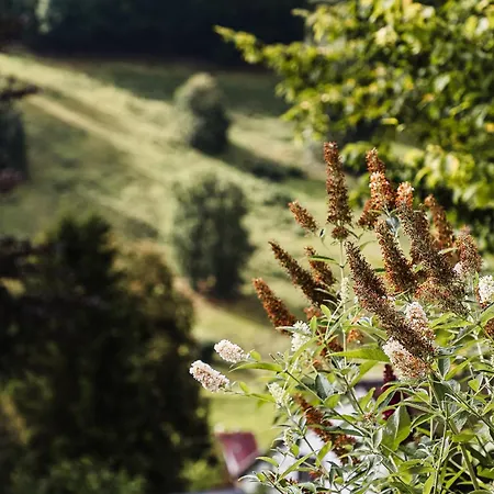 Apartman Morgentau, Mit Aussicht In Wieda & Grosszuegigen Garten *